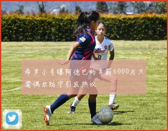 希罗小号曝阿德巴约年薪6000万只需偶尔防守引发热议